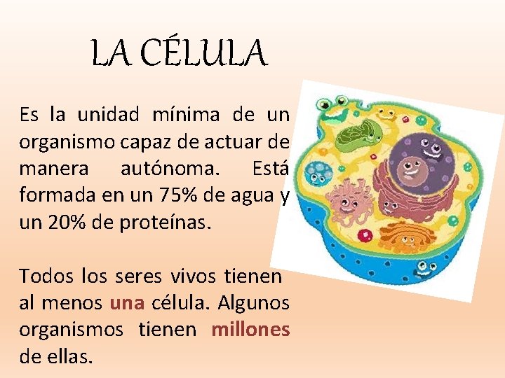 LA CÉLULA Es la unidad mínima de un organismo capaz de actuar de manera