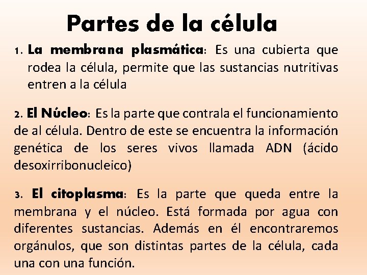 Partes de la célula 1. La membrana plasmática: Es una cubierta que rodea la