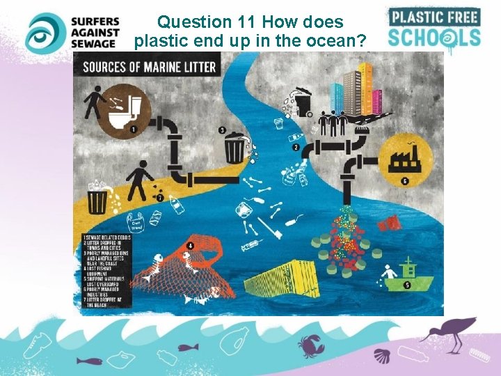 Question 11 How does plastic end up in the ocean? 