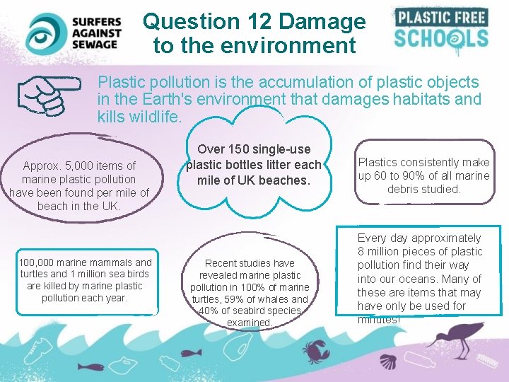 Question 12 Damage to the environment Plastic pollution is the accumulation of plastic objects