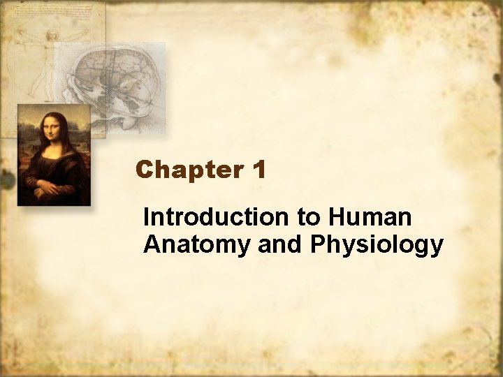 Chapter 1 Introduction to Human Anatomy and Physiology 
