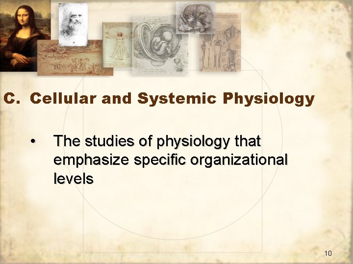 C. Cellular and Systemic Physiology • The studies of physiology that emphasize specific organizational
