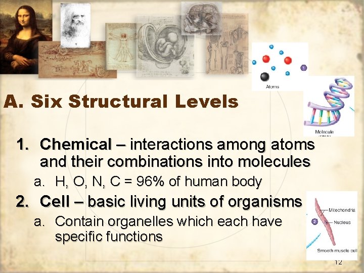 A. Six Structural Levels 1. Chemical – interactions among atoms and their combinations into