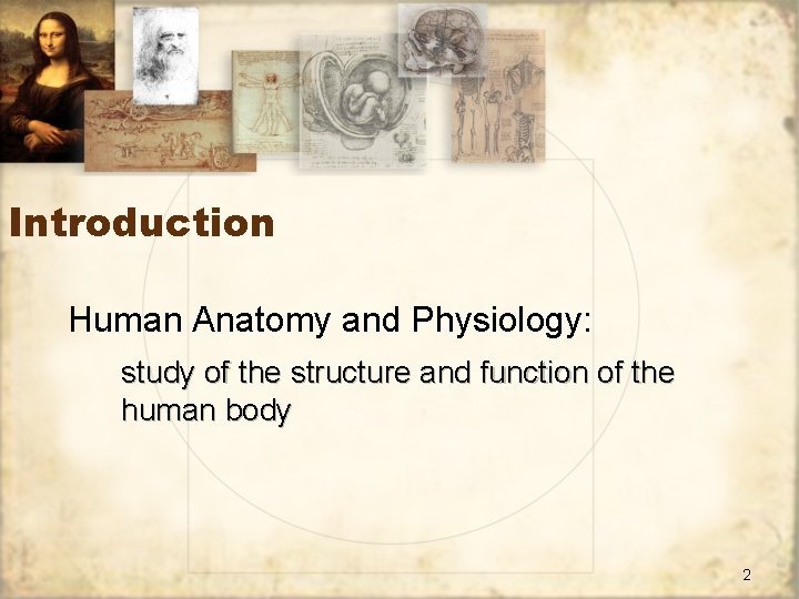 Introduction Human Anatomy and Physiology: study of the structure and function of the human
