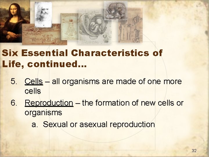 Six Essential Characteristics of Life, continued… 5. Cells – all organisms are made of