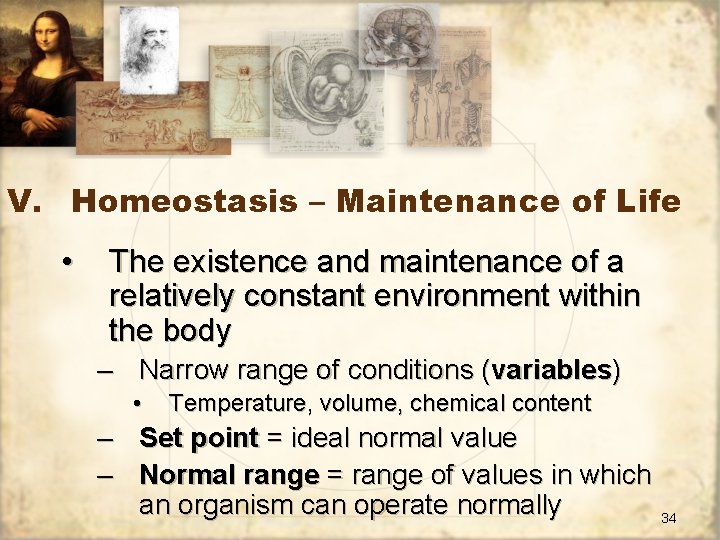 V. Homeostasis – Maintenance of Life • The existence and maintenance of a relatively