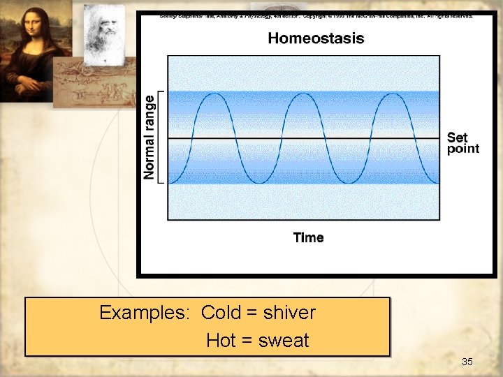 Examples: Cold = shiver Hot = sweat 35 