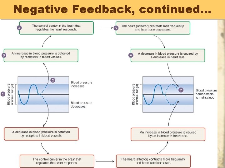 Negative Feedback, continued… 38 