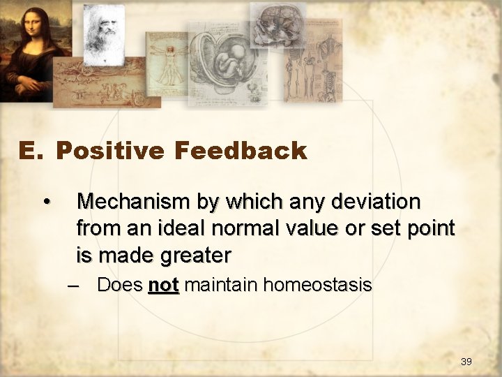 E. Positive Feedback • Mechanism by which any deviation from an ideal normal value