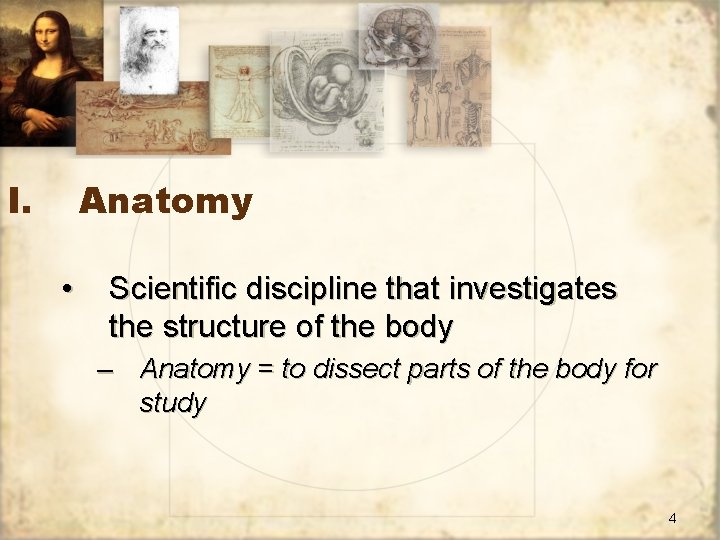 I. Anatomy • Scientific discipline that investigates the structure of the body – Anatomy