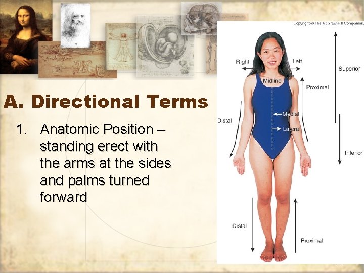 A. Directional Terms 1. Anatomic Position – standing erect with the arms at the