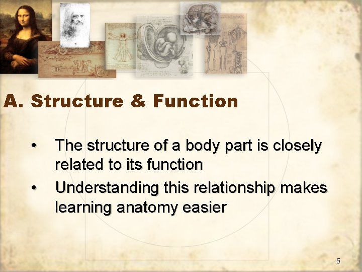 A. Structure & Function • • The structure of a body part is closely