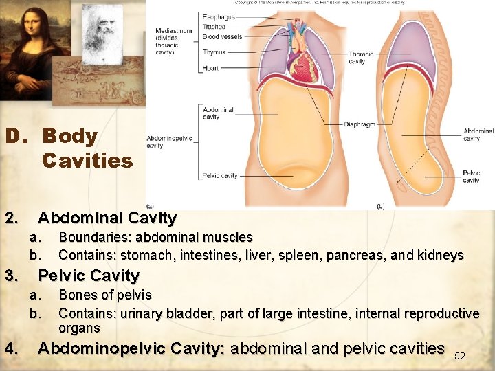 D. Body Cavities 2. Abdominal Cavity a. b. 3. Pelvic Cavity a. b. 4.