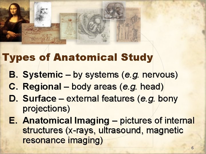 Types of Anatomical Study B. C. D. Systemic – by systems (e. g. nervous)