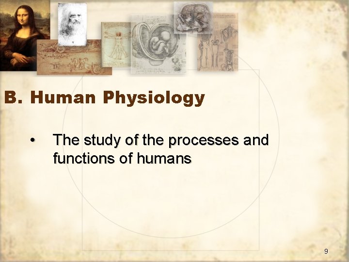 B. Human Physiology • The study of the processes and functions of humans 9