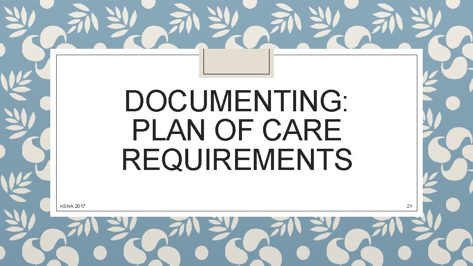 DOCUMENTING: PLAN OF CARE REQUIREMENTS KSHA 2017 21 