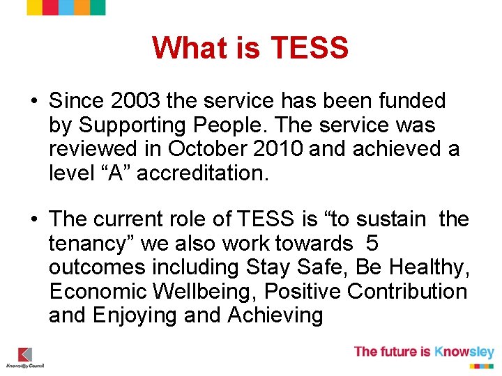 What is TESS • Since 2003 the service has been funded by Supporting People.