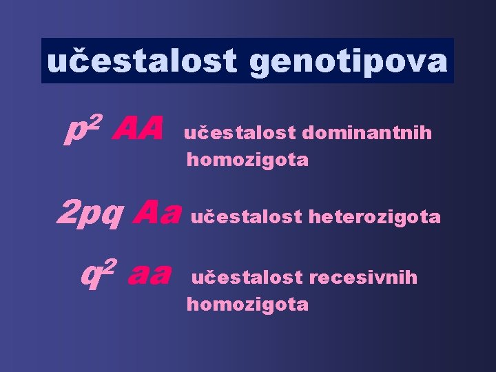učestalost genotipova 2 p AA 2 pq Aa 2 q aa učestalost dominantnih homozigota