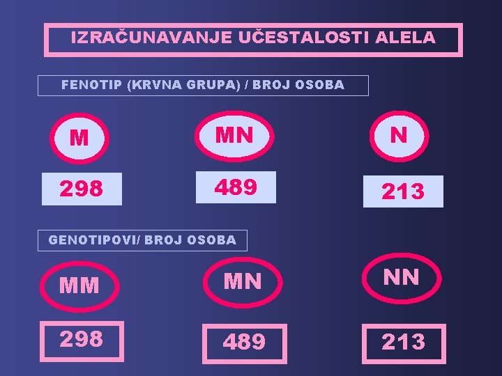 IZRAČUNAVANJE UČESTALOSTI ALELA FENOTIP (KRVNA GRUPA) / BROJ OSOBA M MN N 298 489