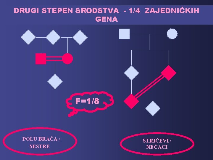 DRUGI STEPEN SRODSTVA - 1/4 ZAJEDNIČKIH GENA F=1/8 POLU BRAĆA / SESTRE STRIČEVI /