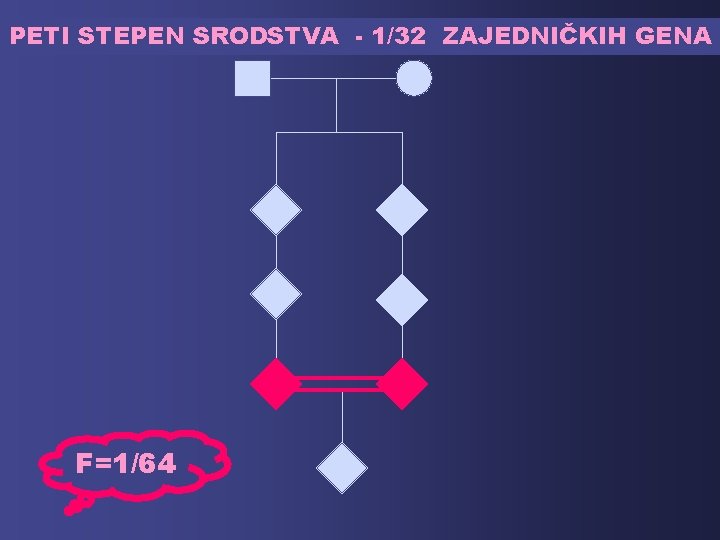 PETI STEPEN SRODSTVA - 1/32 ZAJEDNIČKIH GENA F=1/64 