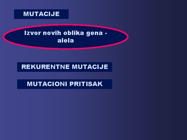 MUTACIJE Izvor novih oblika gena alela REKURENTNE MUTACIJE MUTACIONI PRITISAK 