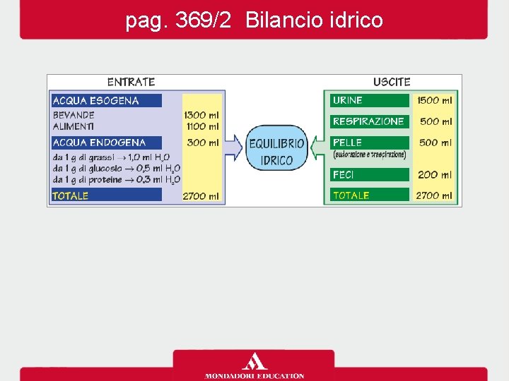 pag. 369/2 Bilancio idrico 