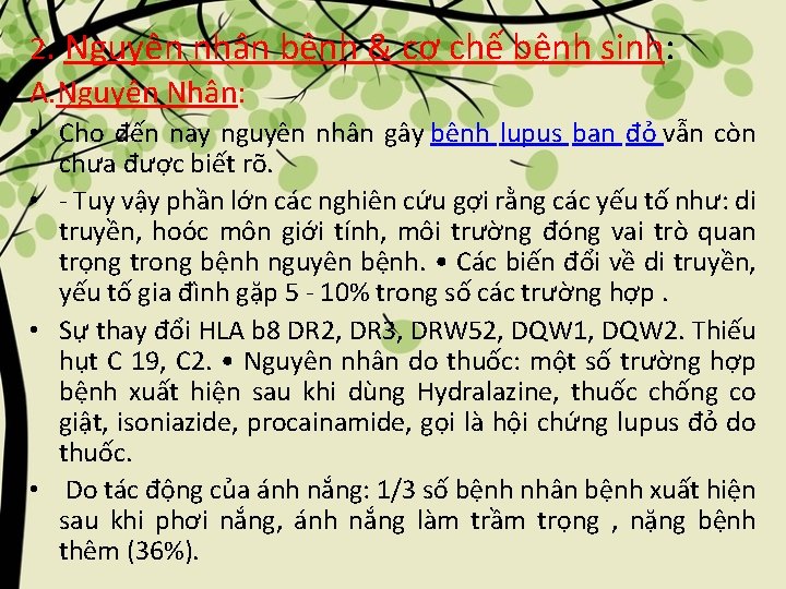 2. Nguyên nhân bệnh & cơ chế bệnh sinh: A. Nguyên Nhân: • Cho