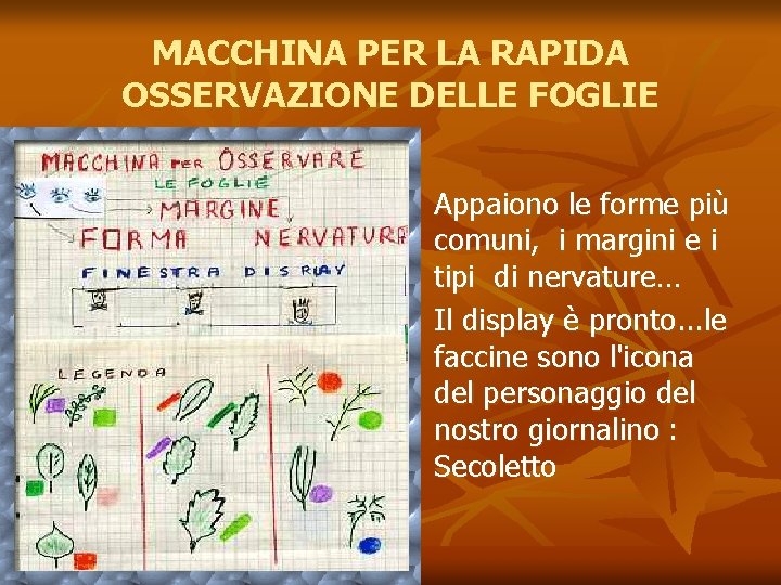 MACCHINA PER LA RAPIDA OSSERVAZIONE DELLE FOGLIE n n Appaiono le forme più comuni,