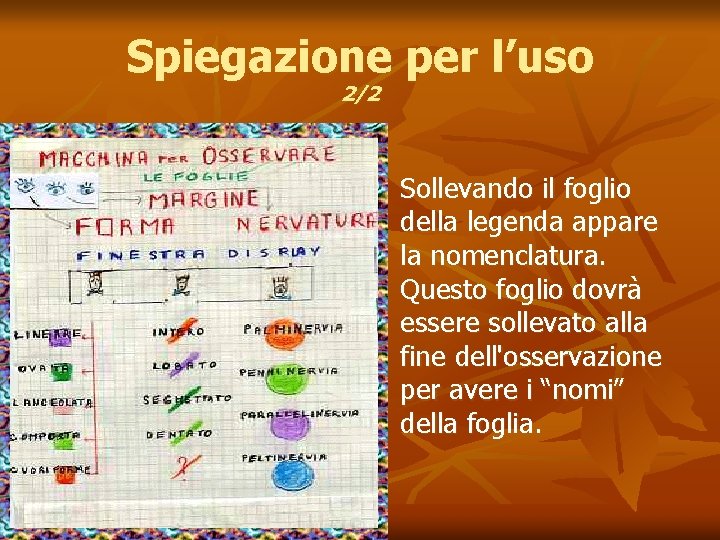 Spiegazione per l’uso 2/2 n Sollevando il foglio della legenda appare la nomenclatura. Questo