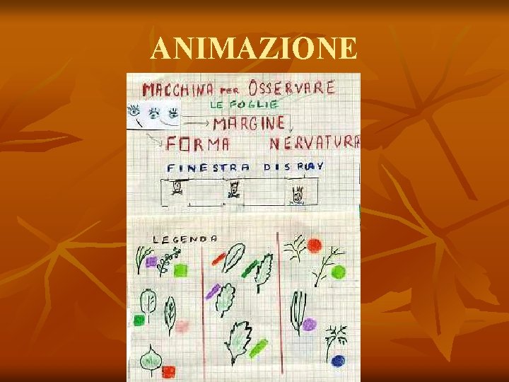 ANIMAZIONE 