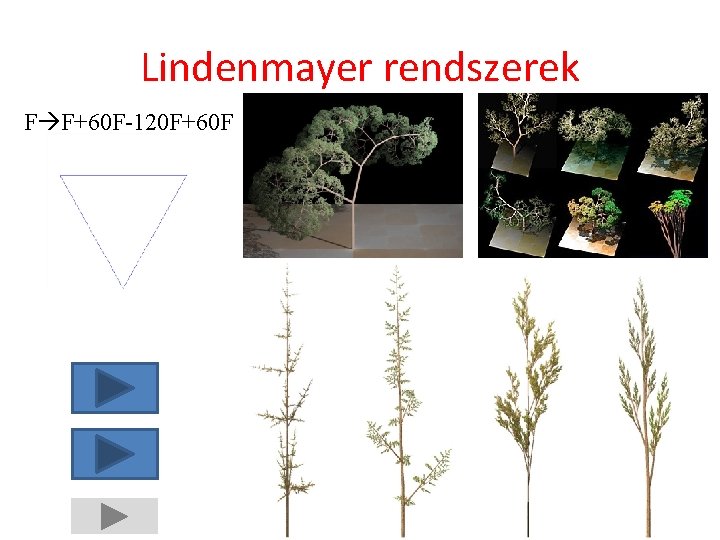 Lindenmayer rendszerek F F+60 F-120 F+60 F 