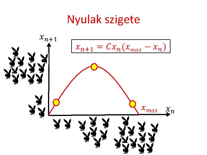 Nyulak szigete 