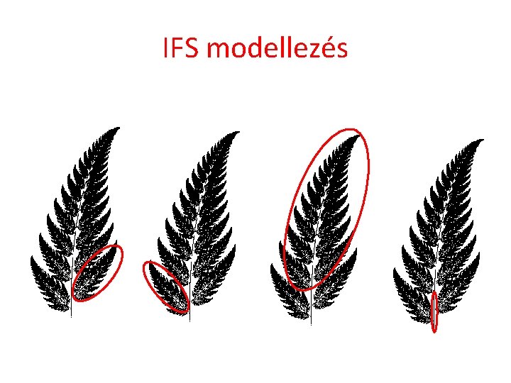 IFS modellezés 