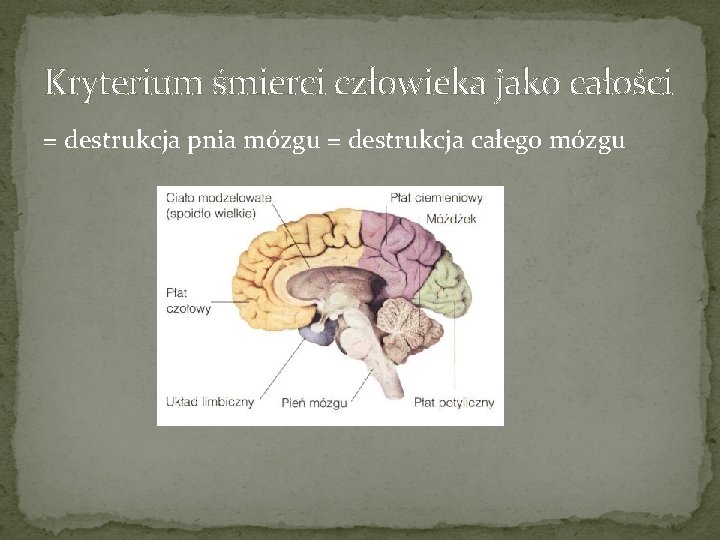 Kryterium śmierci człowieka jako całości = destrukcja pnia mózgu = destrukcja całego mózgu 