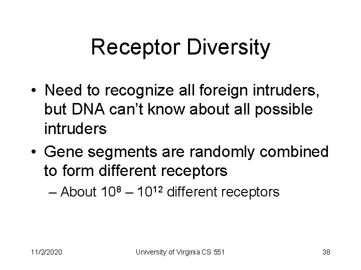 Receptor Diversity • Need to recognize all foreign intruders, but DNA can’t know about