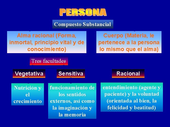Compuesto Substancial Alma racional (Forma, inmortal, principio vital y de conocimiento) Cuerpo (Materia, le Compuesto Substancial Alma racional (Forma, inmortal, principio vital y de conocimiento) Cuerpo (Materia, le