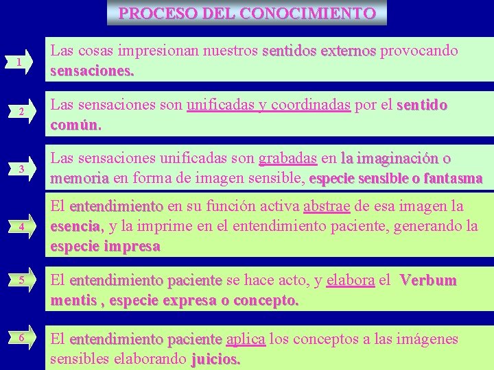 PROCESO DEL CONOCIMIENTO 1 Las cosas impresionan nuestros sentidos externos provocando sensaciones. 2 Las PROCESO DEL CONOCIMIENTO 1 Las cosas impresionan nuestros sentidos externos provocando sensaciones. 2 Las