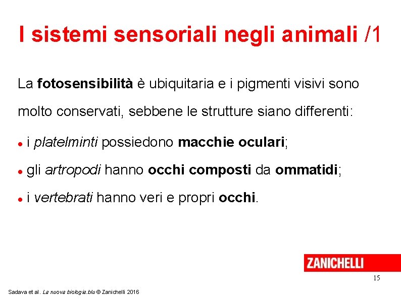 I sistemi sensoriali negli animali /1 La fotosensibilità è ubiquitaria e i pigmenti visivi