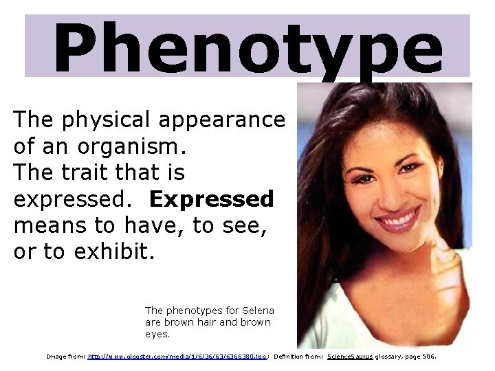 Phenotype The physical appearance of an organism. The trait that is expressed. Expressed means