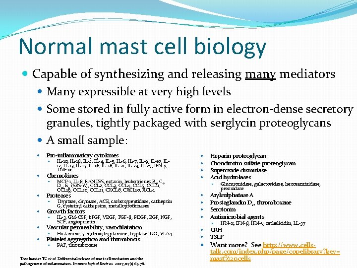 Normal mast cell biology Capable of synthesizing and releasing many mediators Many expressible at