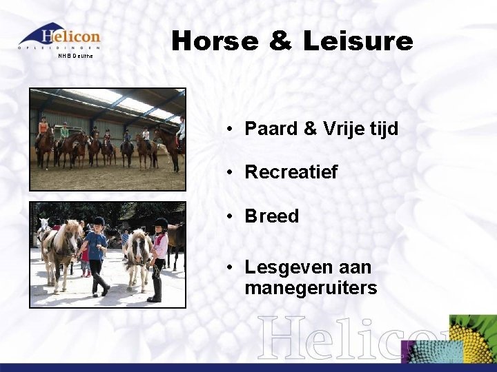 NHB Deurne Horse & Leisure • Paard & Vrije tijd • Recreatief • Breed