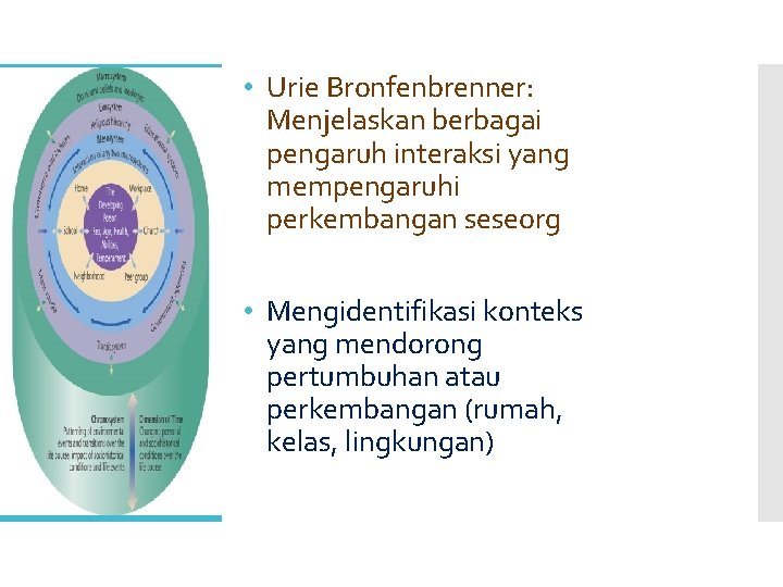  • Urie Bronfenbrenner: Menjelaskan berbagai pengaruh interaksi yang mempengaruhi perkembangan seseorg • Mengidentifikasi