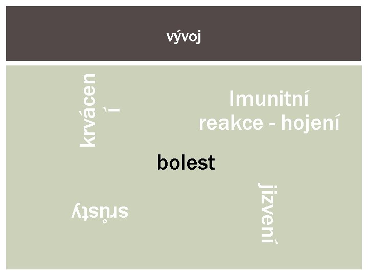 krvácen í vývoj Imunitní reakce - hojení bolest jizvení srůsty 