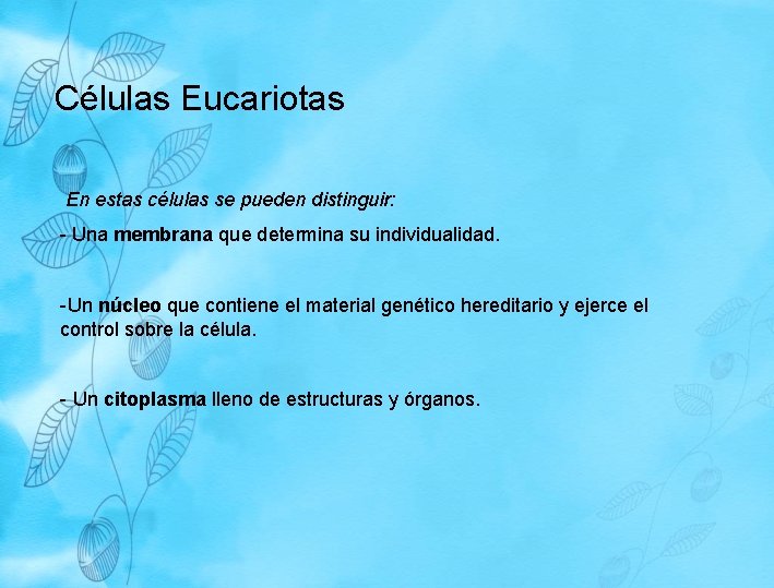 Células Eucariotas En estas células se pueden distinguir: - Una membrana que determina su Células Eucariotas En estas células se pueden distinguir: - Una membrana que determina su