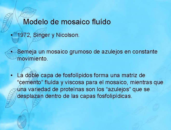 Modelo de mosaico fluído • 1972, Singer y Nicolson. • Semeja un mosaico grumoso Modelo de mosaico fluído • 1972, Singer y Nicolson. • Semeja un mosaico grumoso