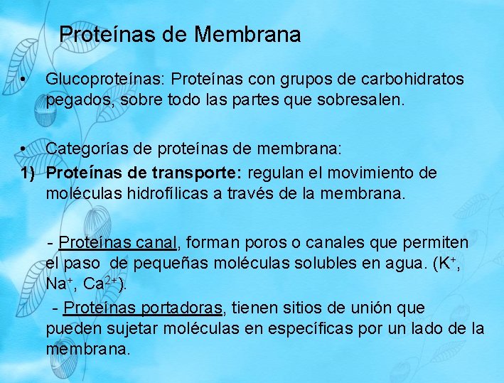 Proteínas de Membrana • Glucoproteínas: Proteínas con grupos de carbohidratos pegados, sobre todo las Proteínas de Membrana • Glucoproteínas: Proteínas con grupos de carbohidratos pegados, sobre todo las