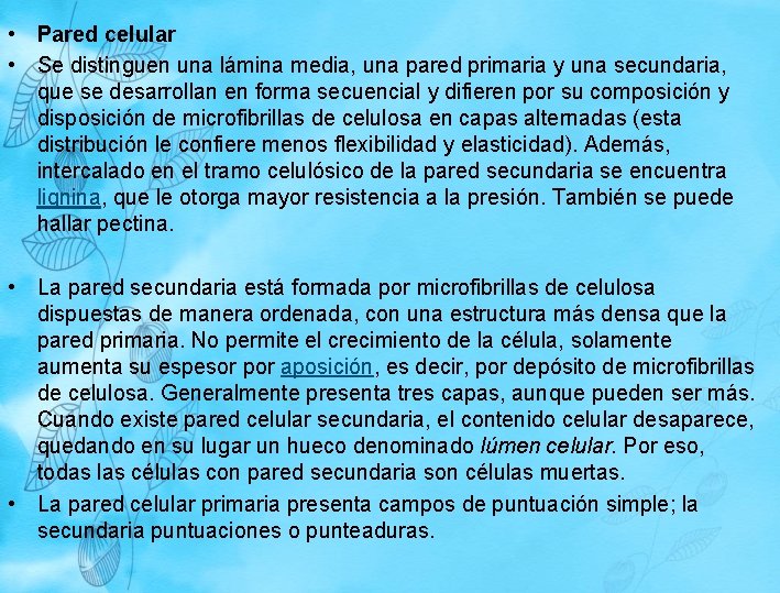 • Pared celular • Se distinguen una lámina media, una pared primaria y • Pared celular • Se distinguen una lámina media, una pared primaria y