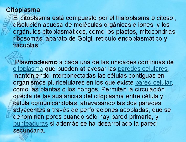 Citoplasma El citoplasma está compuesto por el hialoplasma o citosol, disolución acuosa de moléculas Citoplasma El citoplasma está compuesto por el hialoplasma o citosol, disolución acuosa de moléculas