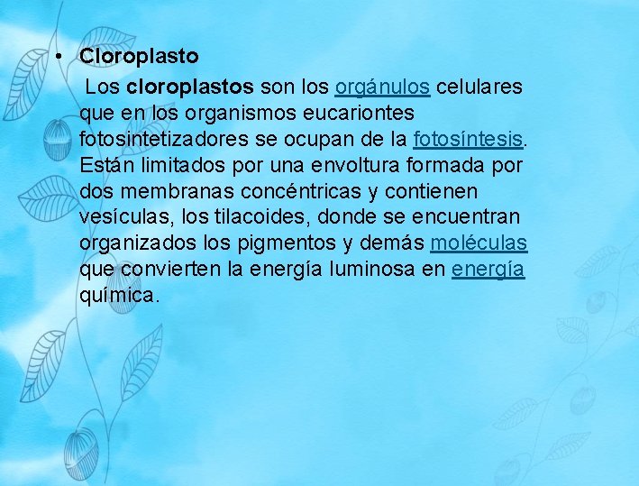 • Cloroplasto Los cloroplastos son los orgánulos celulares que en los organismos eucariontes • Cloroplasto Los cloroplastos son los orgánulos celulares que en los organismos eucariontes